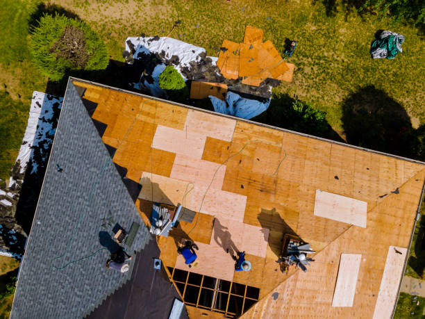Quick and Trustworthy Emergency Roof Repair Services in Cabana Colony, FL
